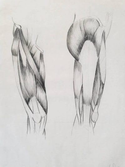 Dibujos de Anatomía -Fac. BBAA Sevilla. 2002. Alejandro Durán.